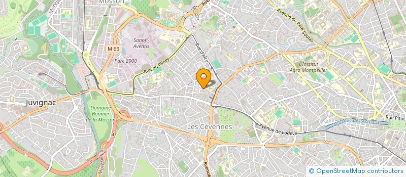 localisation de l'entreprise SPORT TALENT 34 à MONTPELLIER