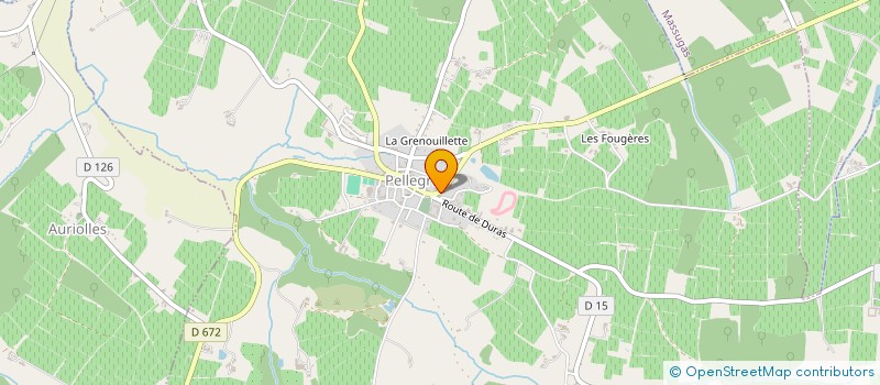 localisation de l'entreprise SPORTS CULTURE ARTS PELLEGRUE  PELLEGRUE