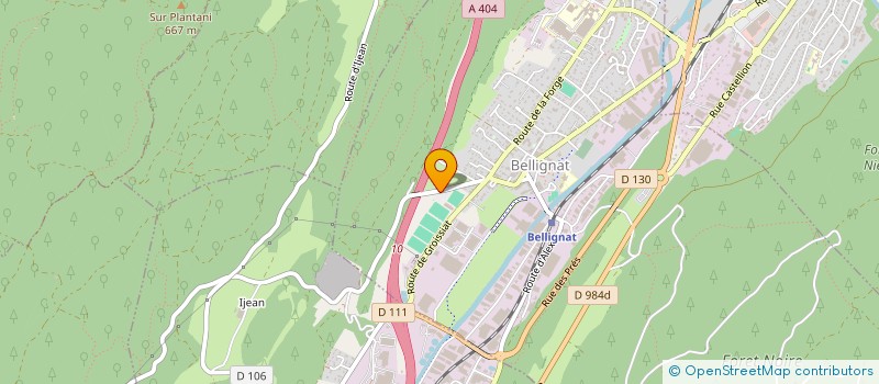 localisation de l'entreprise SPORTS ET METIERS 01 à BELLIGNAT