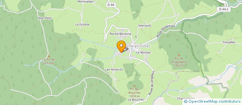 localisation de l'entreprise SR DEVELOPPEMENT  ROCHE-EN-FOREZ