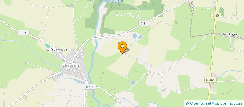 localisation de l'entreprise ST à SEGRE-EN-ANJOU BLEU