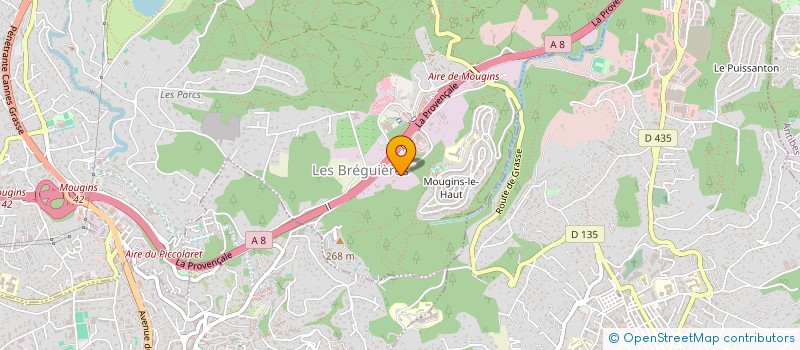 localisation de l'entreprise ST AUTO RACING à MOUGINS