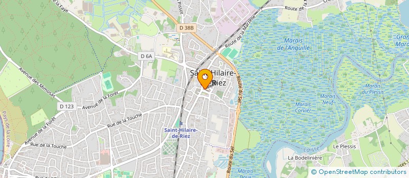 localisation de l'entreprise ST GILLES/ST HILAIRE FOOTBALL CLUB à SAINT-HILAIRE-DE-RIEZ