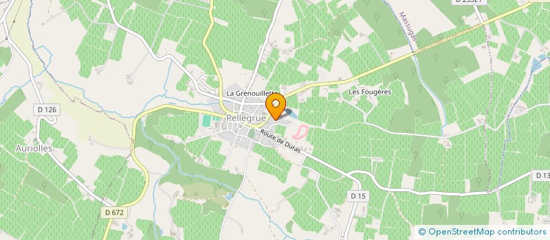 localisation de l'entreprise STATION RELAIS SERVICES SARL  PELLEGRUE