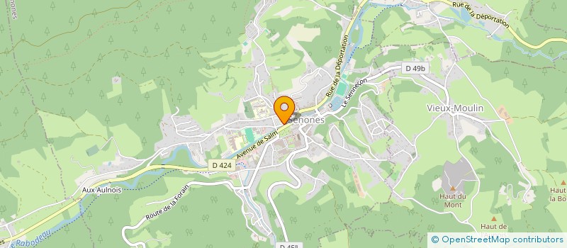 localisation de l'entreprise STATION SERVICE SENONES à SENONES