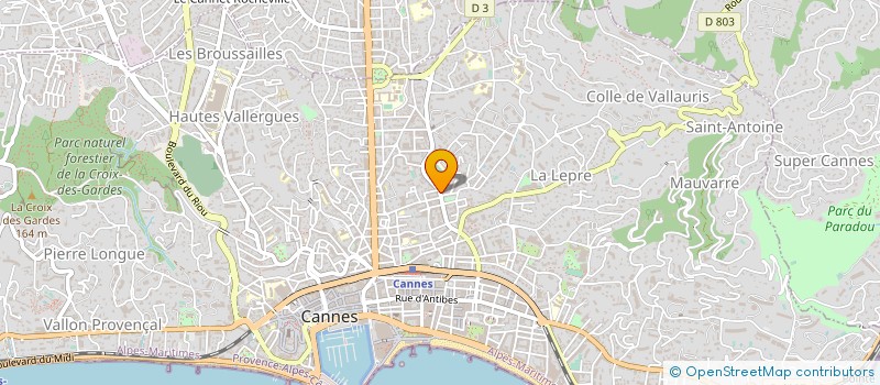 localisation de l'entreprise STE D EXPLOITATION DU GARAGE BECHLITCH à CANNES