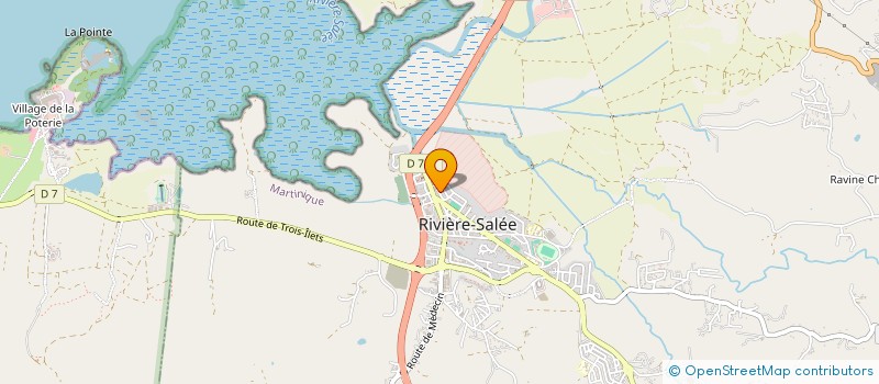 localisation de l'entreprise STE DE DEPANNAGE ET DE RENOVATION DE BATIMENTS à RIVIERE-SALEE