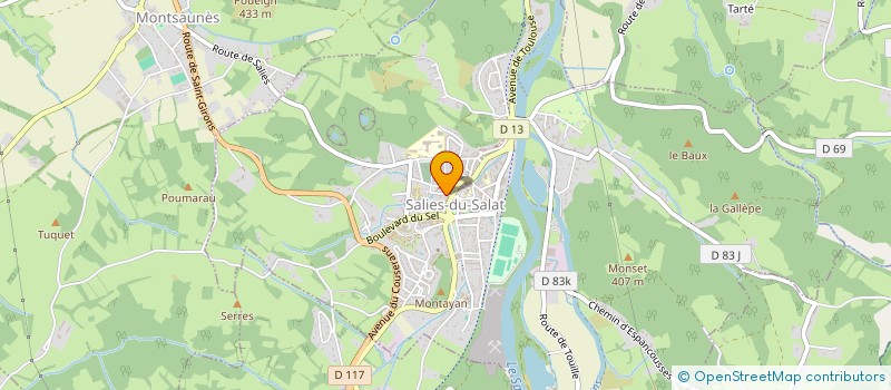 localisation de l'entreprise STE DE FAIT RIBEIRO à SALIES-DU-SALAT