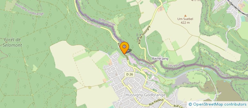 localisation de l'entreprise STE INSTALL ELEC LORRAINE ELECTROLOR  HUSSIGNY-GODBRANGE