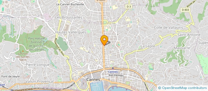 localisation de l'entreprise STE LB SECURITE ALARME ELECTRONIQUE à CANNES
