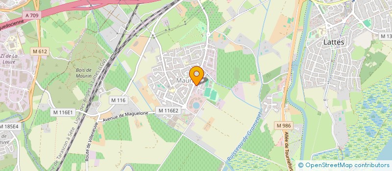 localisation de l'entreprise STE NOUVELLE AMBULANCES ABEILLE à LATTES