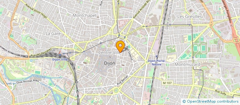 localisation de l'entreprise STEF RAFFOUR ELOY  DIJON