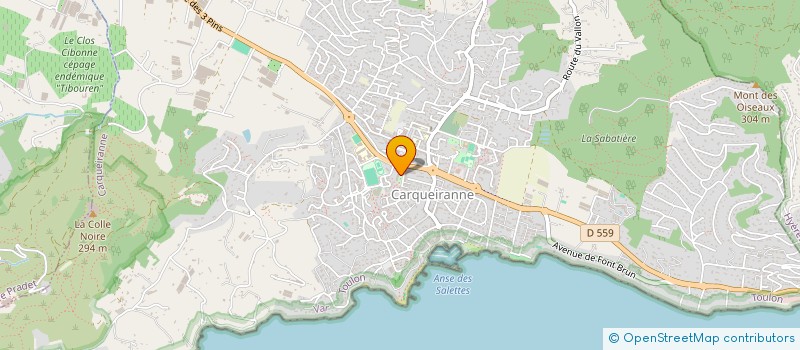 localisation de l'entreprise STEFARA SERVICES  CARQUEIRANNE