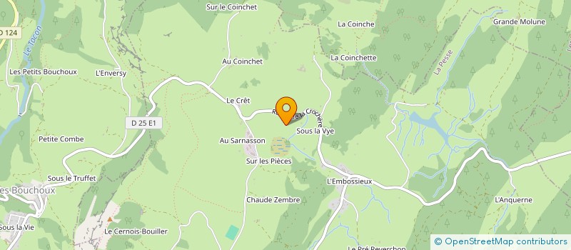 localisation de l'entreprise STEPHANE VUAILLAT ELECTRICITE SVE  LES BOUCHOUX