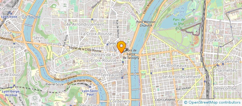 localisation de l'entreprise STEPPING RAZOR à LYON