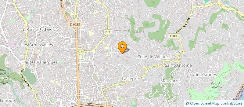 localisation de l'entreprise STESAFE CONSULTING  CANNES