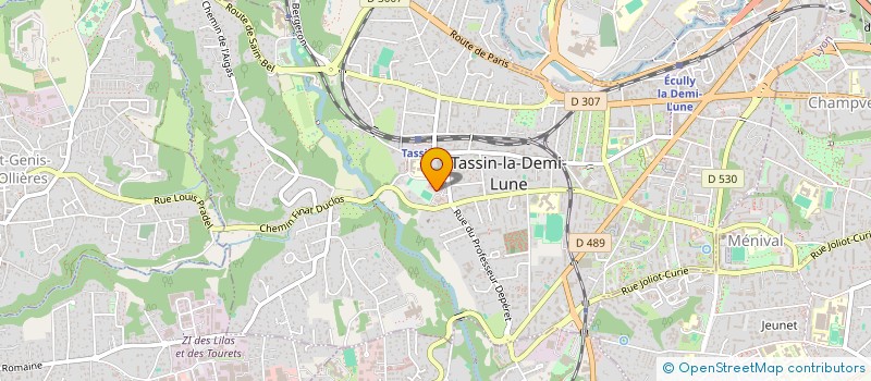 localisation de l'entreprise STONE FEILLENS 2023  TASSIN-LA-DEMI-LUNE