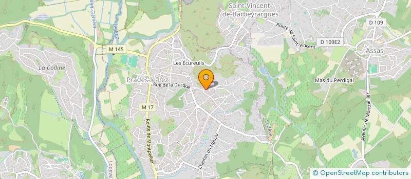 localisation de l'entreprise STRATEGIE MEDIA +  PRADES-LE-LEZ