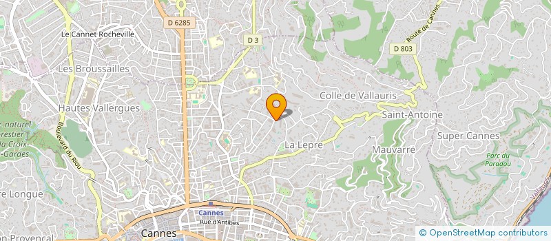 localisation de l'entreprise STREET LIQUEUR 06  CANNES