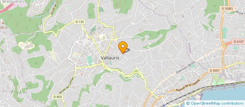 localisation de l'entreprise STREL à VALLAURIS