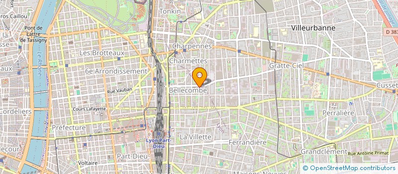 localisation de l'entreprise STRONG SECURITE PRIVEE  LYON