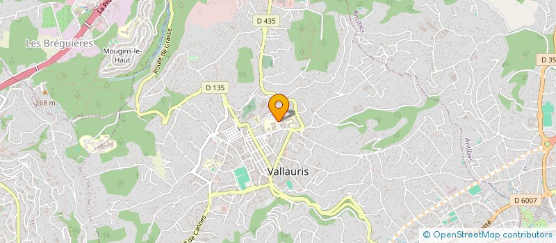 localisation de l'entreprise STUDIO FAILLITE  VALLAURIS