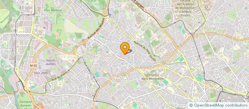 localisation de l'entreprise STUDIO MONTPELLIER à MONTPELLIER