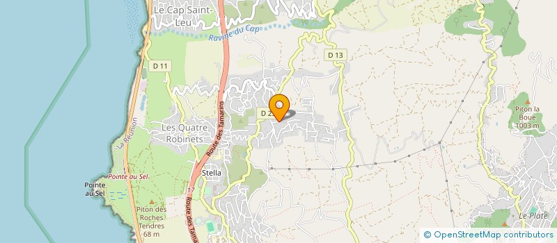 localisation de l'entreprise STUDIO NEELA-RANI  SAINT-LEU