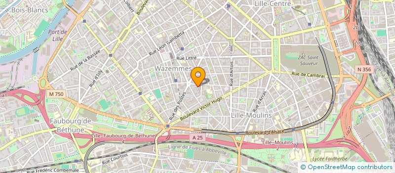 localisation de l'entreprise STUDIO TANUKI  LILLE