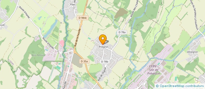 localisation de l'entreprise STUDYOYO  SAINT-GENIS-POUILLY