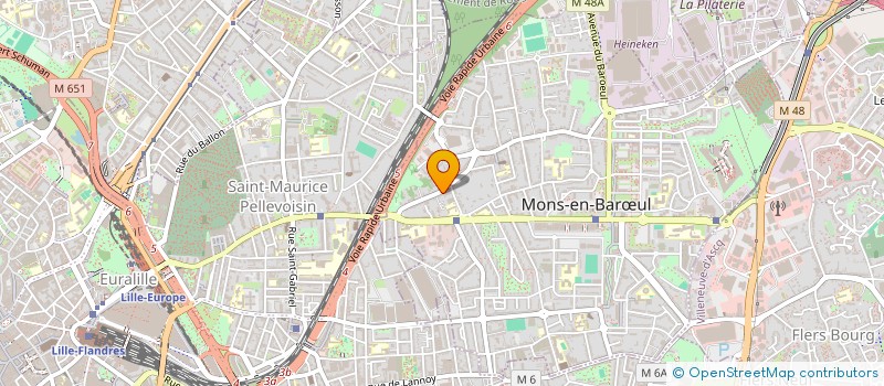 localisation de l'entreprise STYLES ET PATINES RUBIN  MONS-EN-BARUL