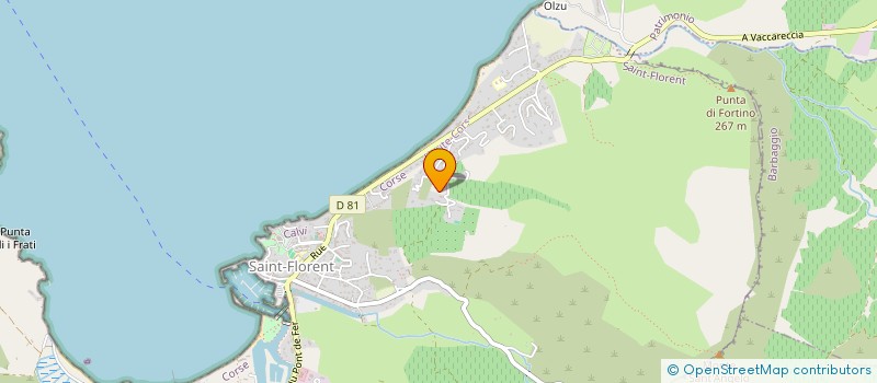 localisation de l'entreprise SUALELLU  SAINT FLORENT