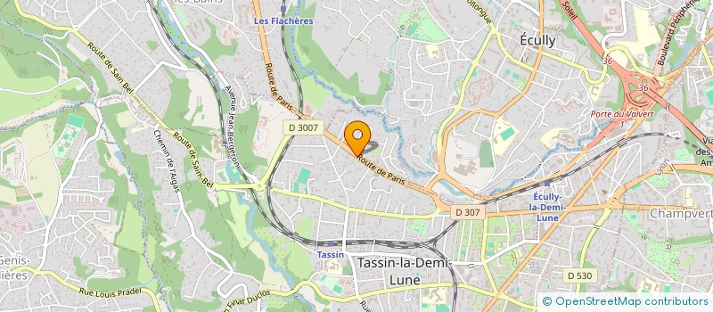 localisation de l'entreprise SUCCESS FILE GOUVERNANCE à TASSIN-LA-DEMI-LUNE