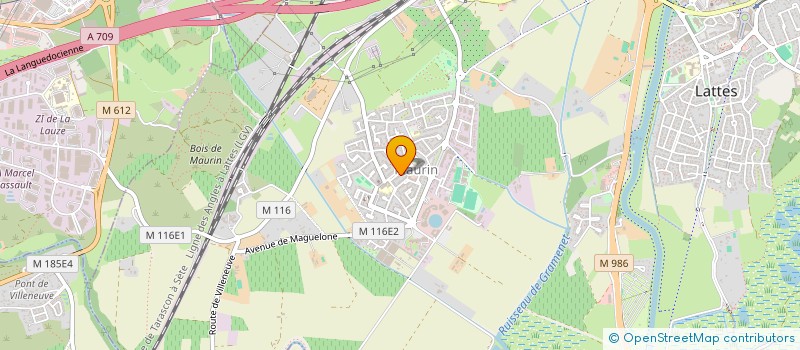 localisation de l'entreprise SUD CONSEILS INVESTISSEMENT à LATTES