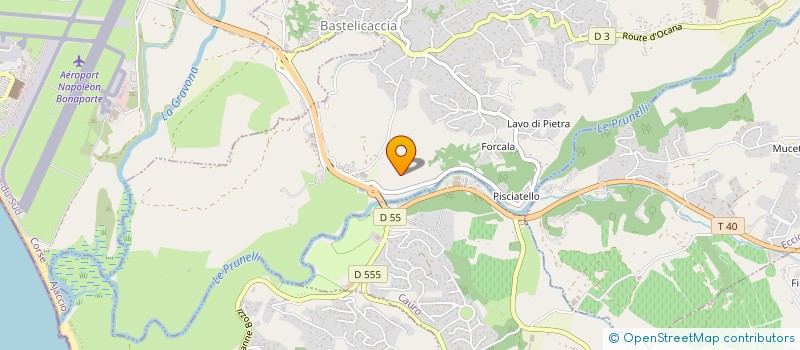 localisation de l'entreprise SUD DISTRIBUTION SERVICE  BASTELICACCIA