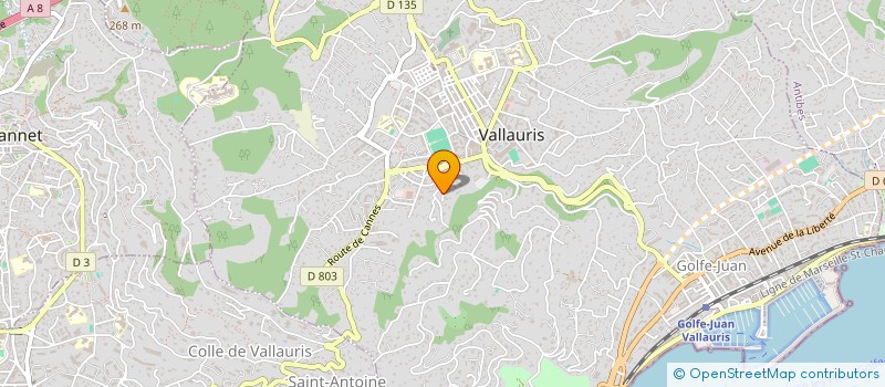 localisation de l'entreprise SUD FORCE LIGHT à VALLAURIS
