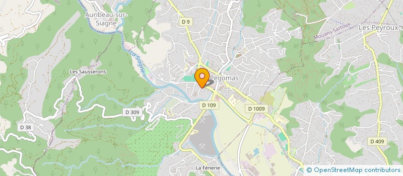 localisation de l'entreprise SUD MARINE SERVICE à MANDELIEU-LA-NAPOULE