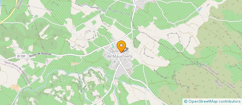 localisation de l'entreprise SUD PETANQUE SAINT PONAISE  SAINT-PONS-DE-MAUCHIENS