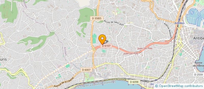 localisation de l'entreprise SUD RENOVATION SERVICE à ANTIBES
