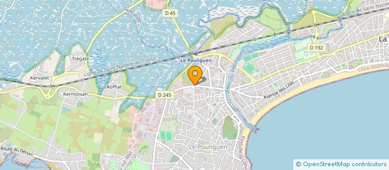 localisation de l'entreprise SUERTE  LE POULIGUEN