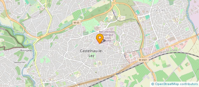 localisation de l'entreprise SUERTE  CASTELNAU-LE-LEZ