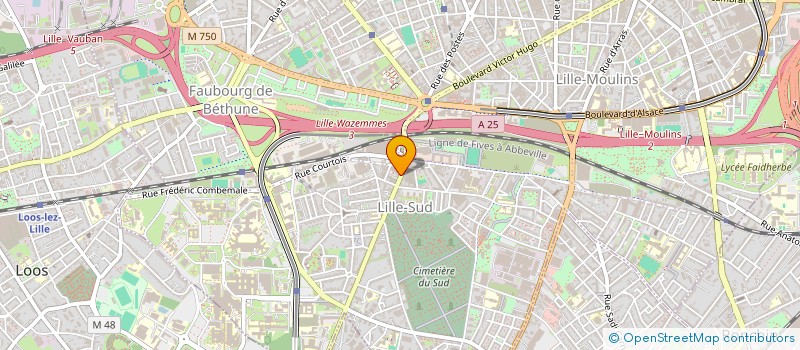 localisation de l'entreprise SULTAN GRILL à LILLE