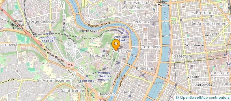 localisation de l'entreprise SUPER BIRDIE à LYON