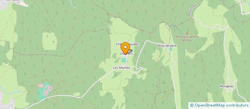 localisation de l'entreprise SURAN IMMO  AMBERIEU-EN-BUGEY