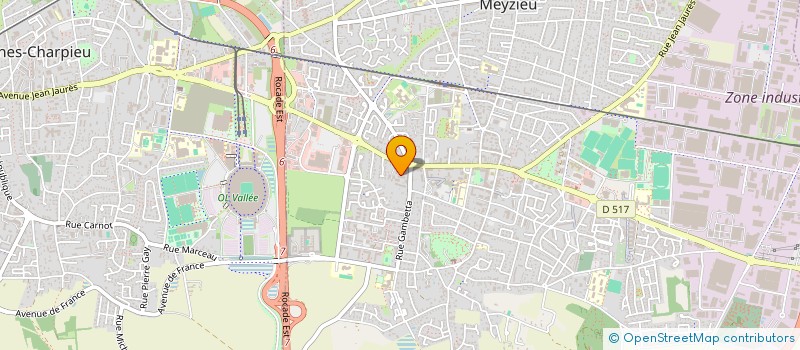 localisation de l'entreprise SURE THING AUTO à MEYZIEU