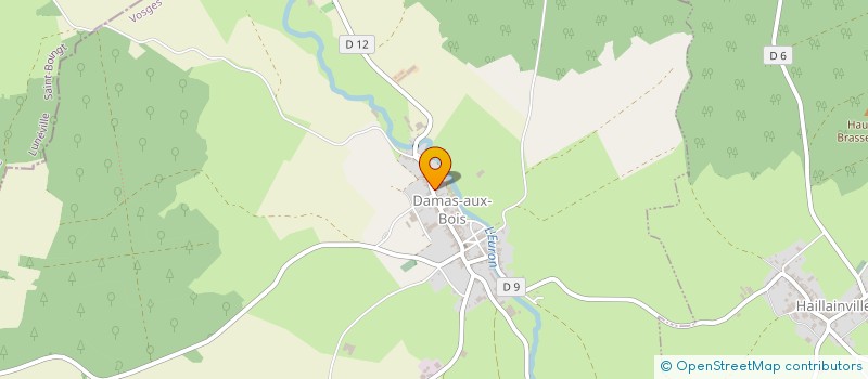 localisation de l'entreprise SURFACE CARRELAGE  DAMAS-AUX-BOIS