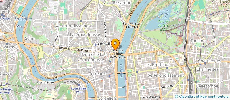 localisation de l'entreprise SURLY à LYON