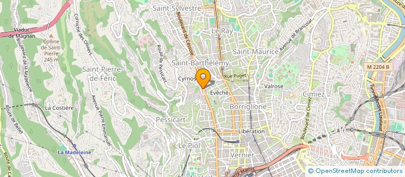 localisation de l'entreprise SURVEILL. TRAVAUX ENTRETIEN IMMEUBLES à NICE