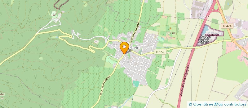 localisation de l'entreprise SURVEY  KINTZHEIM