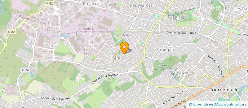 localisation de l'entreprise SURVIVANTES EN ACTION  TOURNEFEUILLE